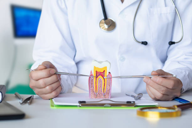 Best Emergency Gum Treatment in West Crossett, AR